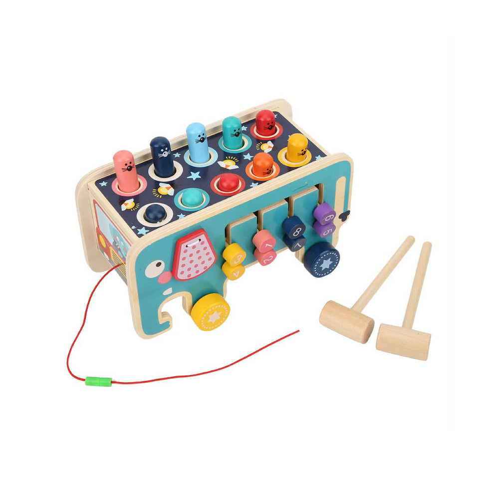 Play & Knock Wooden Learning Toy