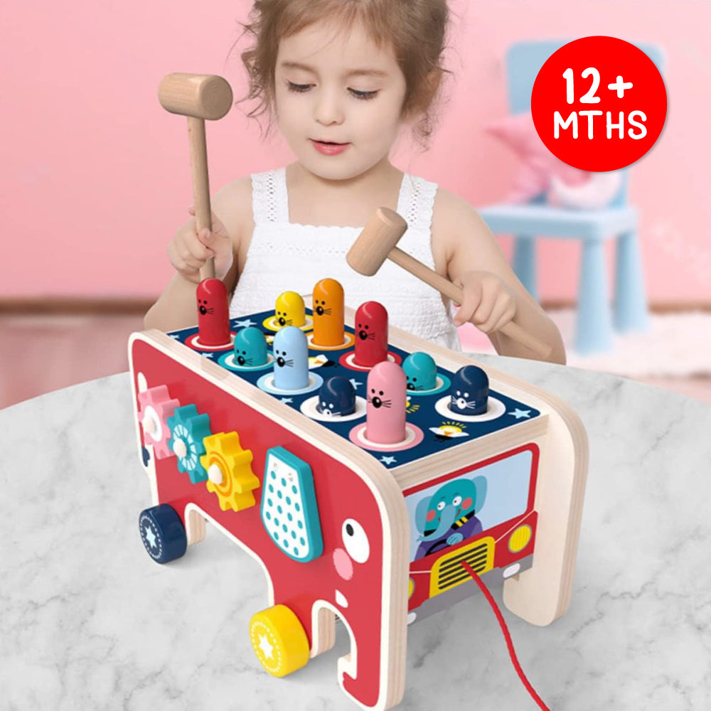 Play & Knock Wooden Learning Toy