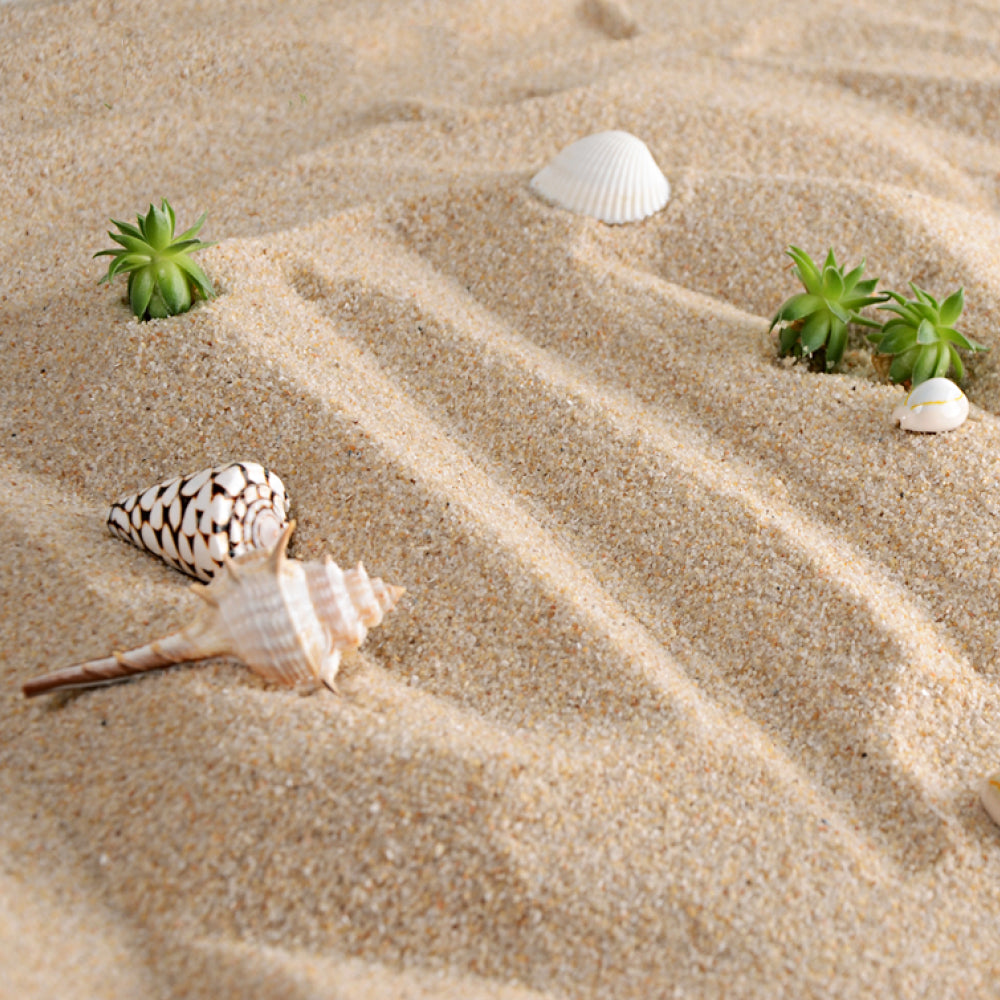 Premium Quality 100% Natural Beach Sand